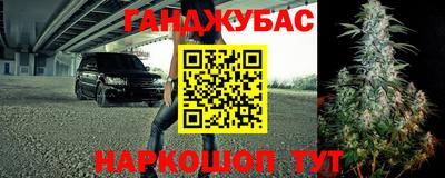 дмт Будённовск