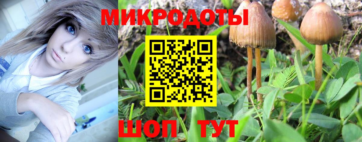Псилоцибиновые грибы Magic Shrooms Рославль