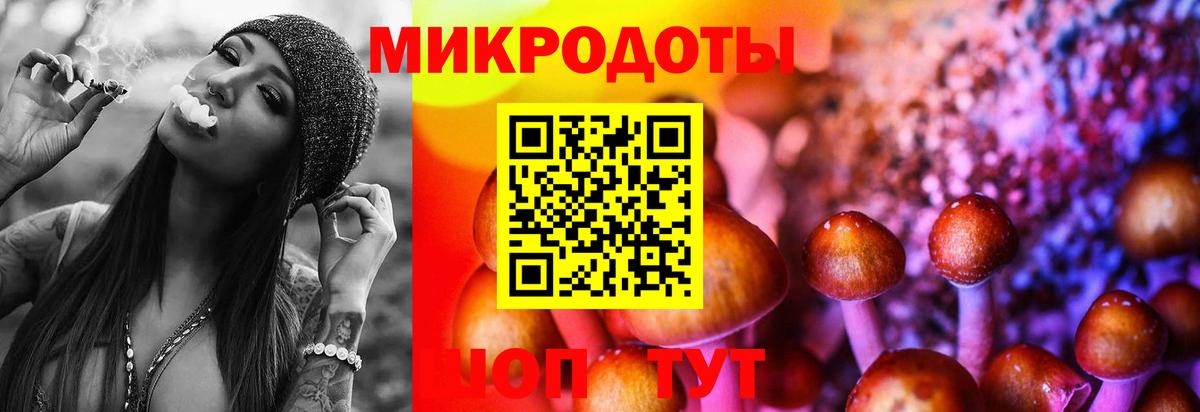 Галлюциногенные грибы Magic Shrooms  Вход с VPN  Галлюциногенные грибы GOLDEN TEACHER  Рославль 